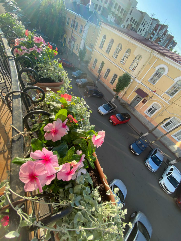 На балконе ОрелСайтСтрой растут цветы